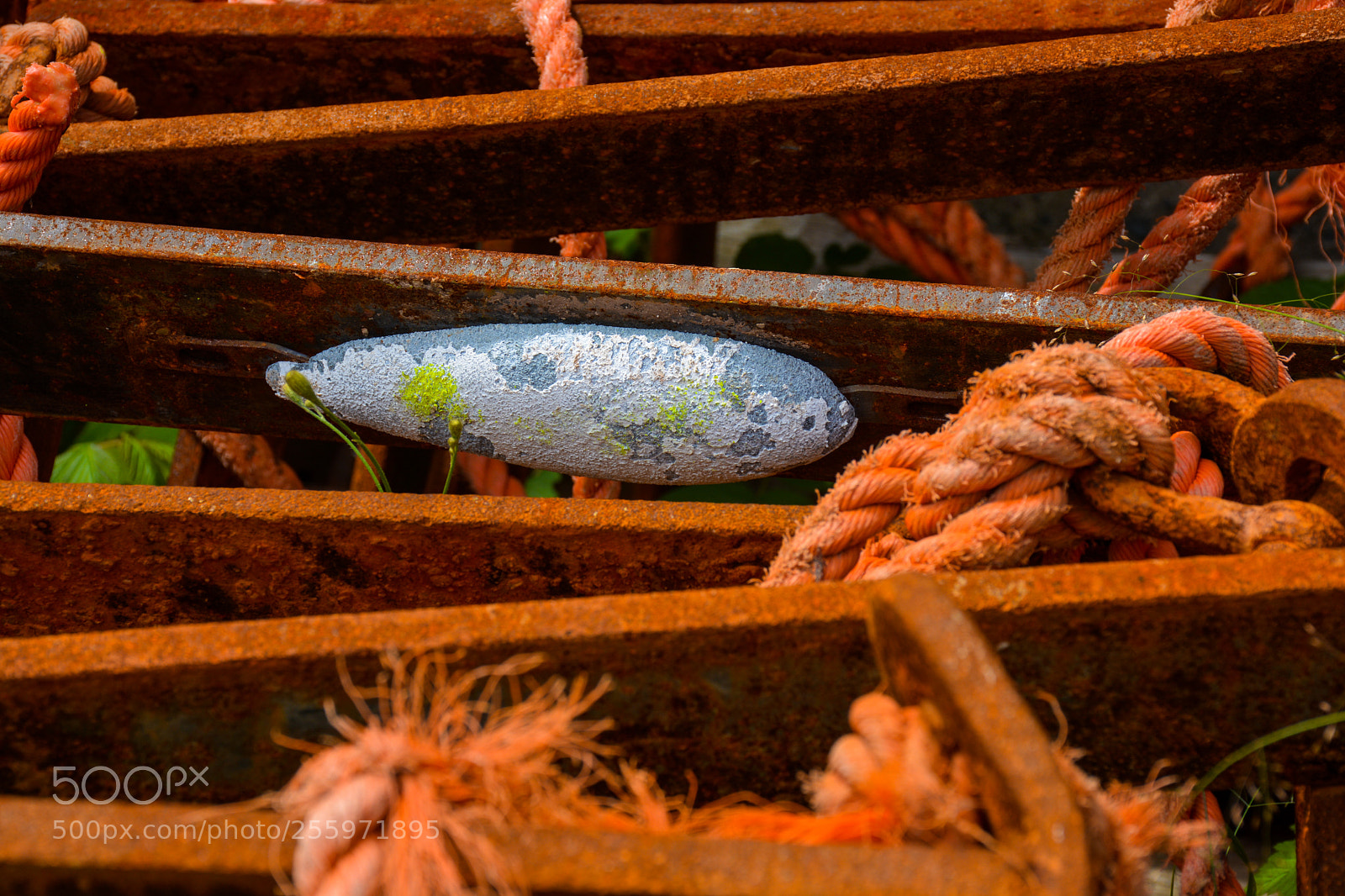 Nikon D7100 sample photo. Lure photography