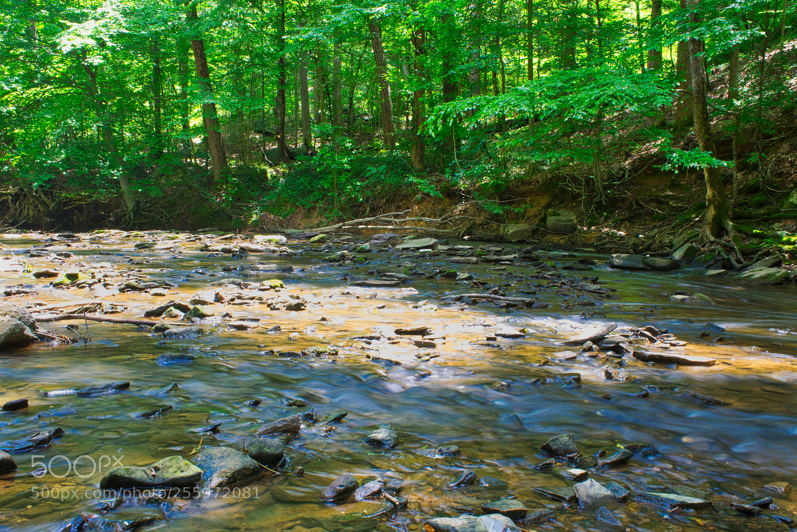 Sony a7 sample photo. Creek side photography