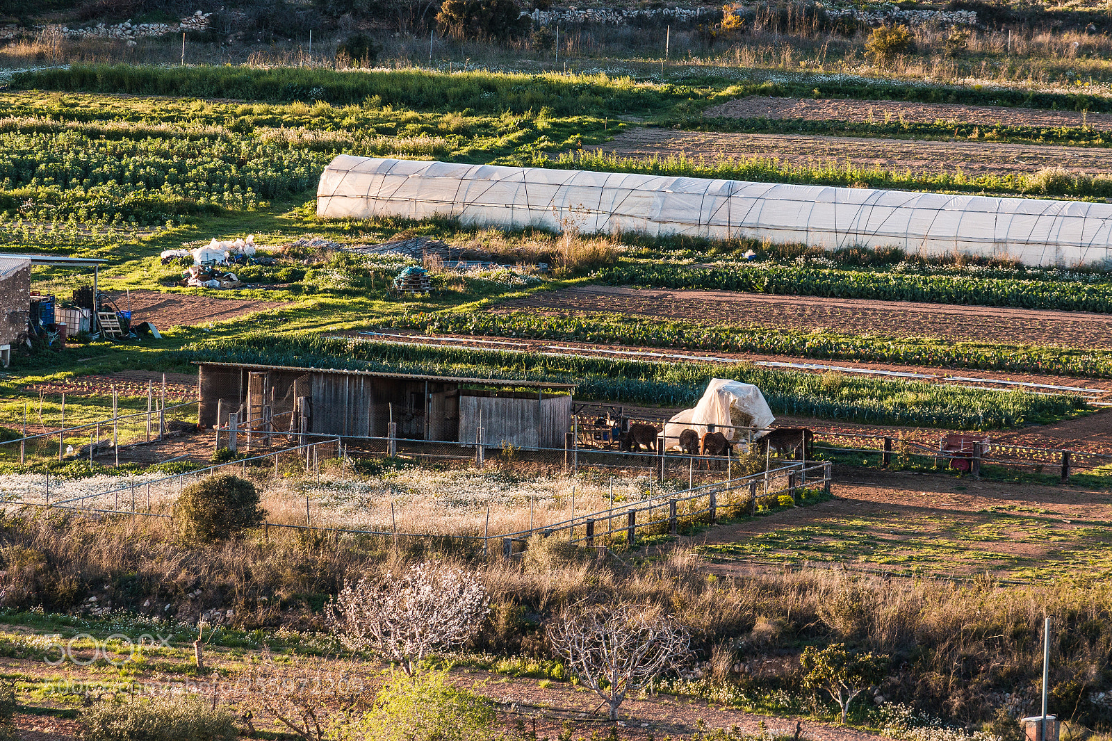 Canon EOS 70D sample photo. Miradores de la nou photography