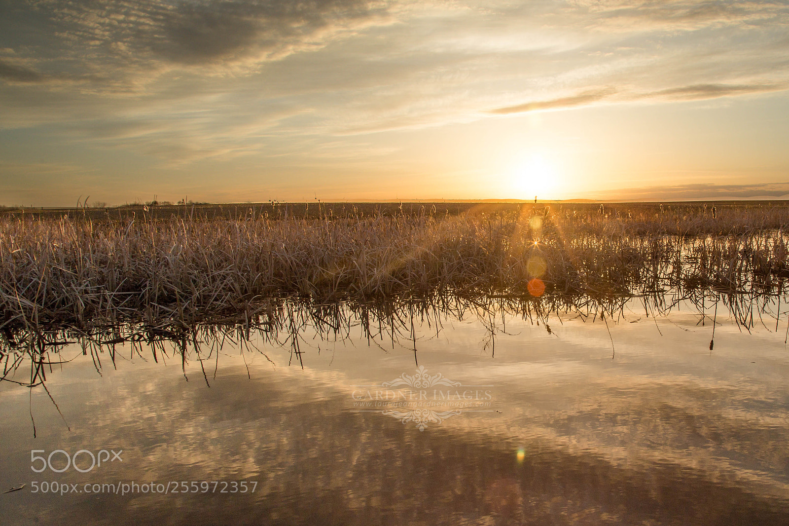 Canon EOS 6D sample photo. Web sunset over the photography