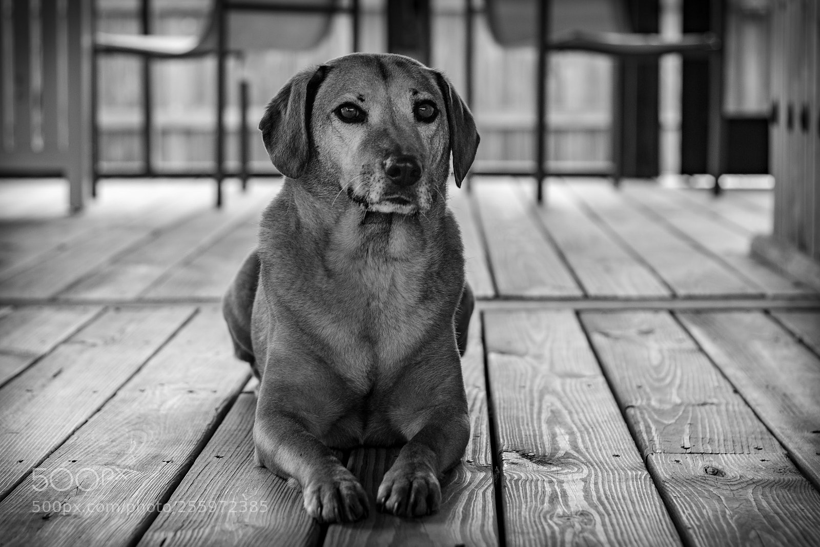 Canon EOS 70D sample photo. Contemplation photography