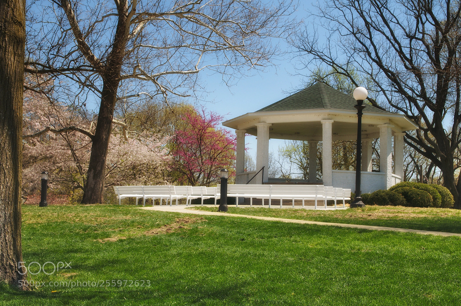 Nikon D300 sample photo. Riverview park photography