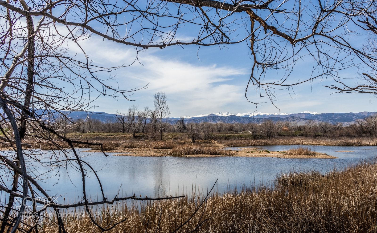 Canon EOS 80D sample photo. Sawhill ponds photography
