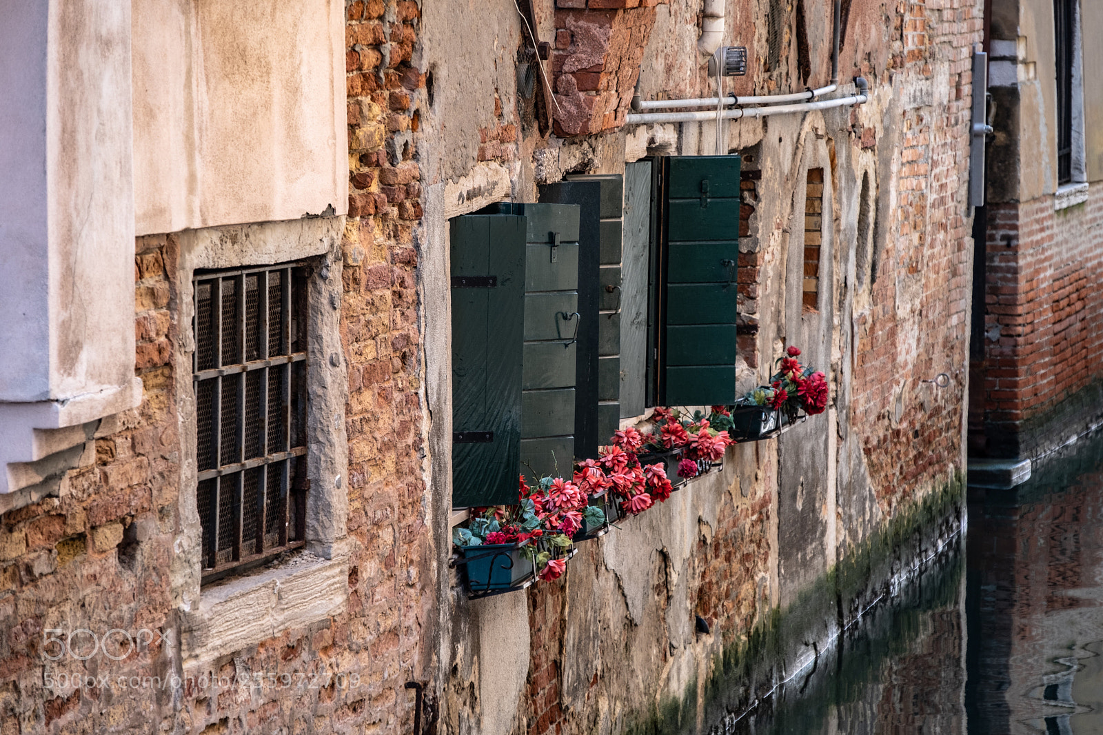 Fujifilm X-T2 sample photo. Venezia, italia - flowerbox photography