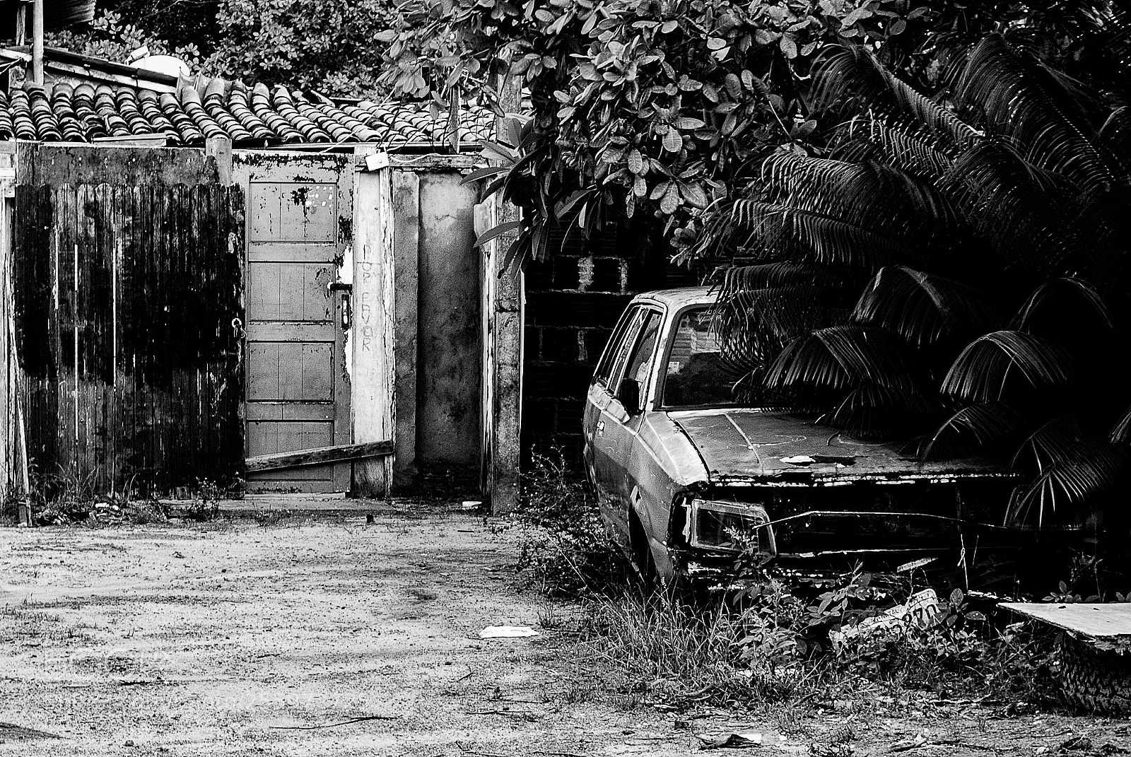 Nikon D60 sample photo. Por favor photography