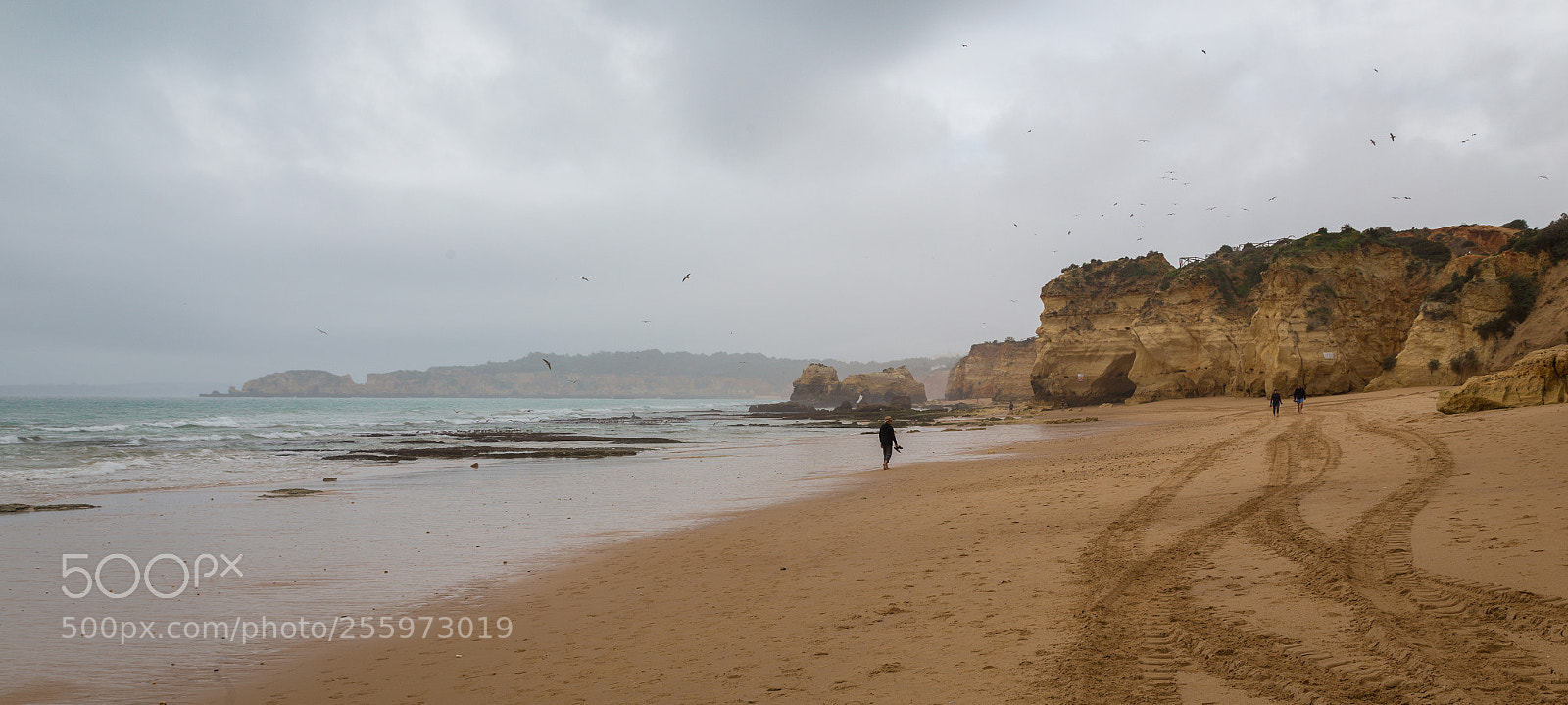 Canon EOS 6D sample photo. Beach at low tide photography