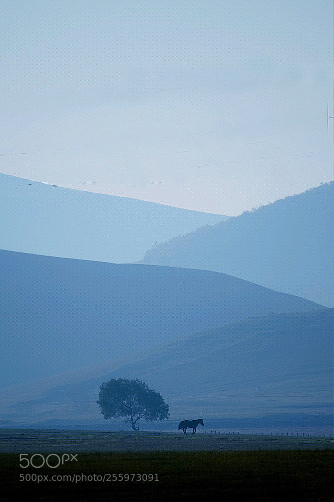 Nikon D800 sample photo. I'm not alone. photography