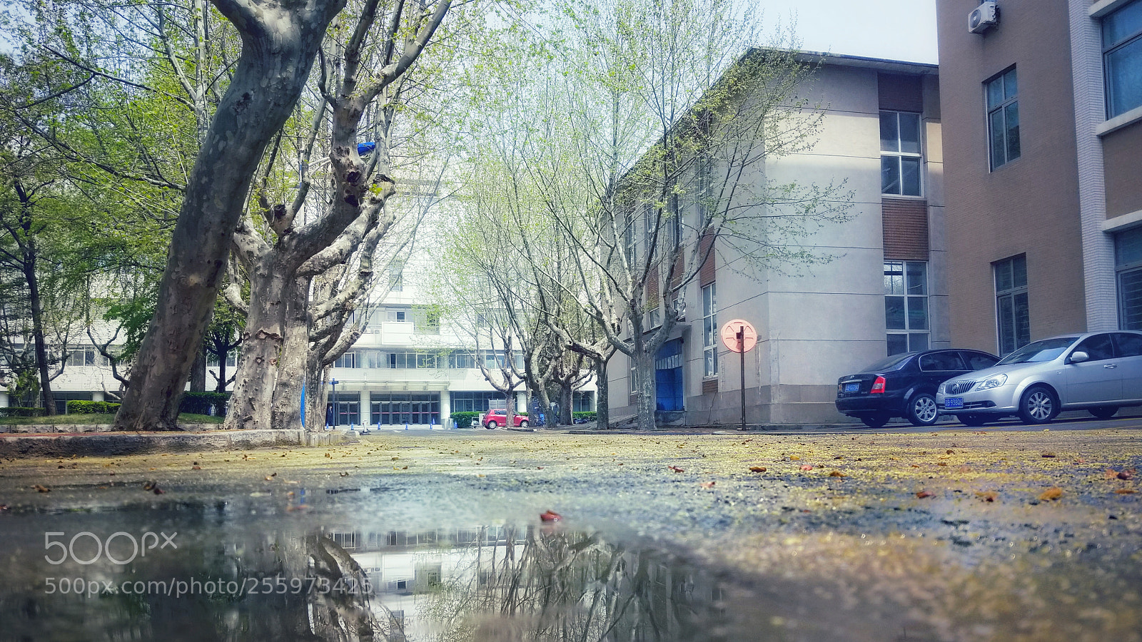 Samsung Galaxy S8 sample photo. Eeddfbbbd photography