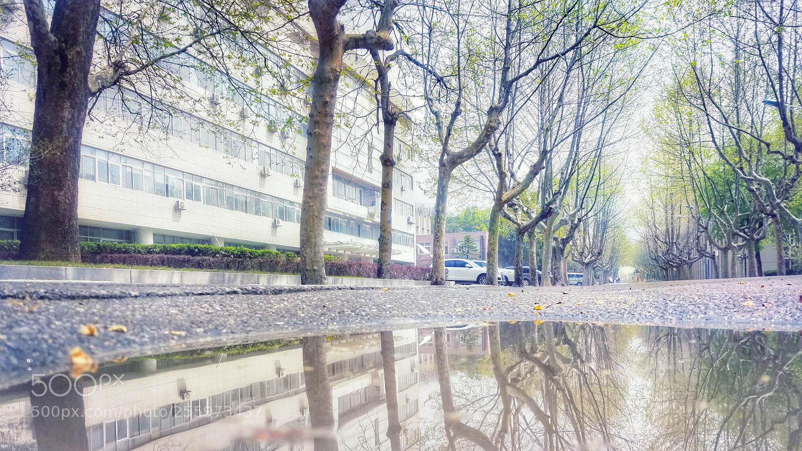 Samsung Galaxy S8 sample photo. Fcfacffaaa photography