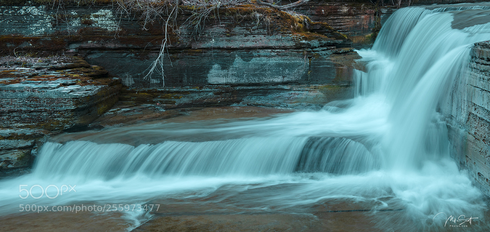 Nikon D850 sample photo. Blue side view photography