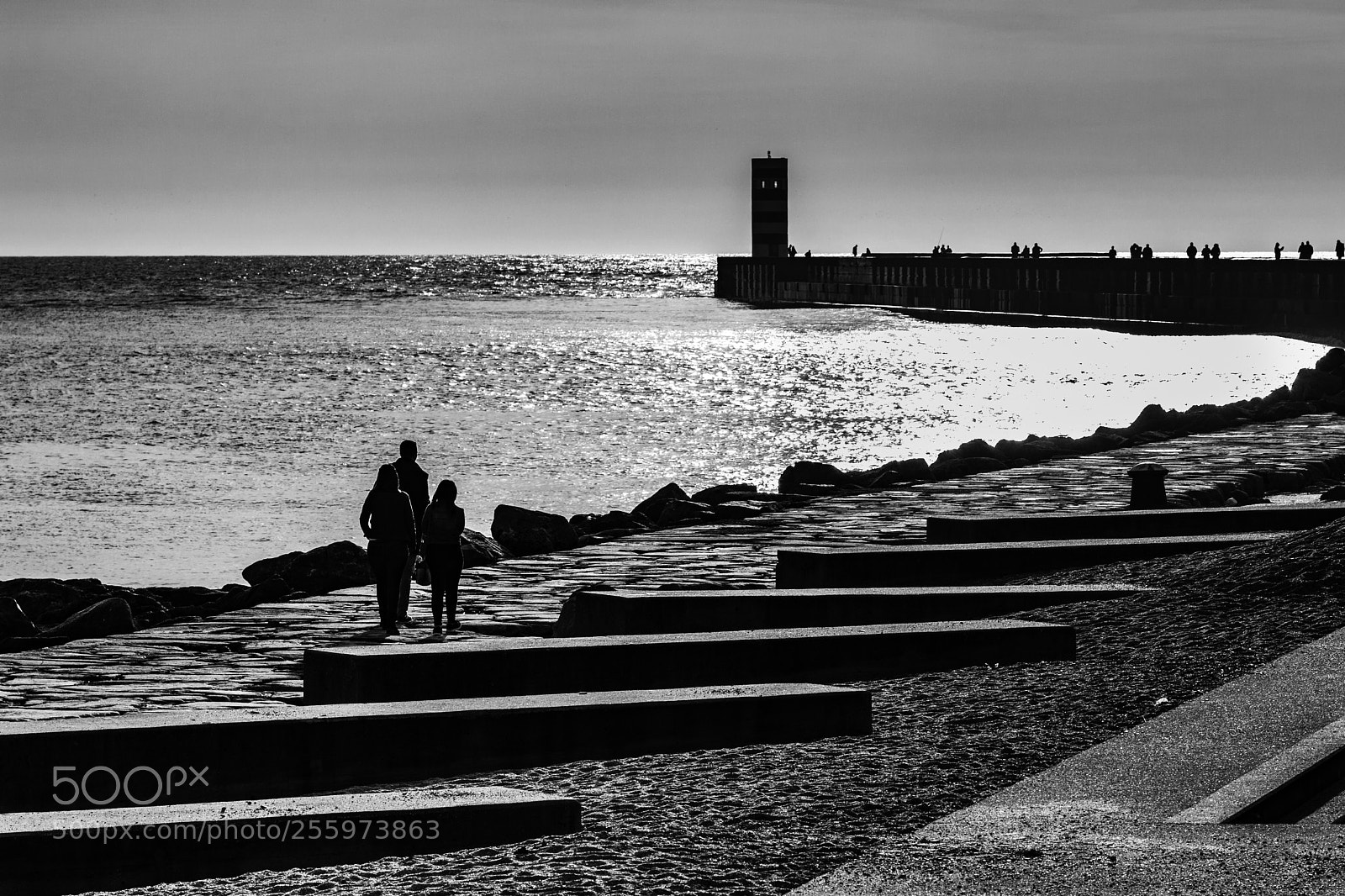 Canon EOS 80D sample photo. Walking on the beach photography