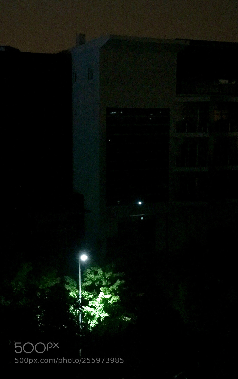 Apple iPhone 6 sample photo. Deep in the dark photography