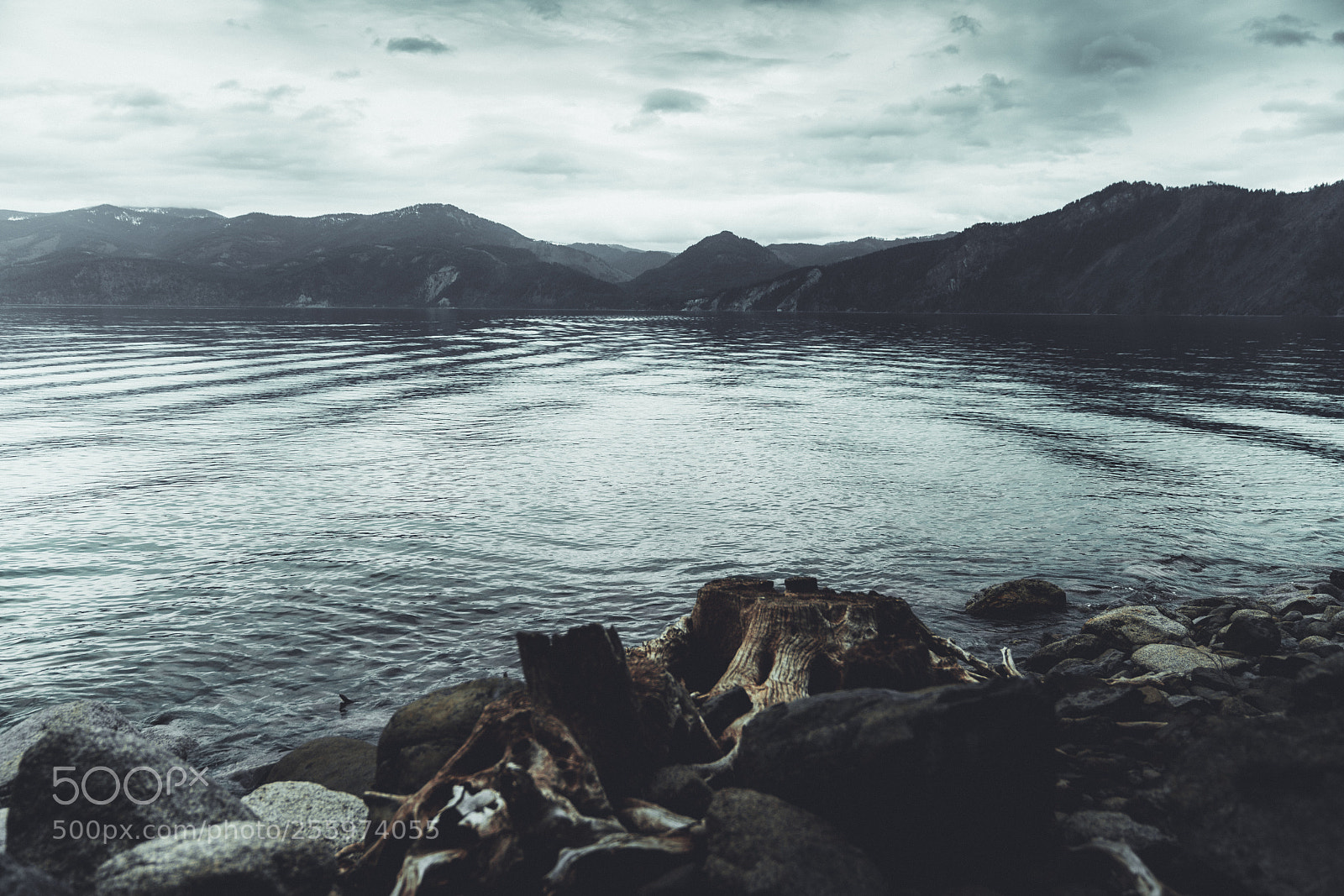 Sony a7R III sample photo. Lake stump photography