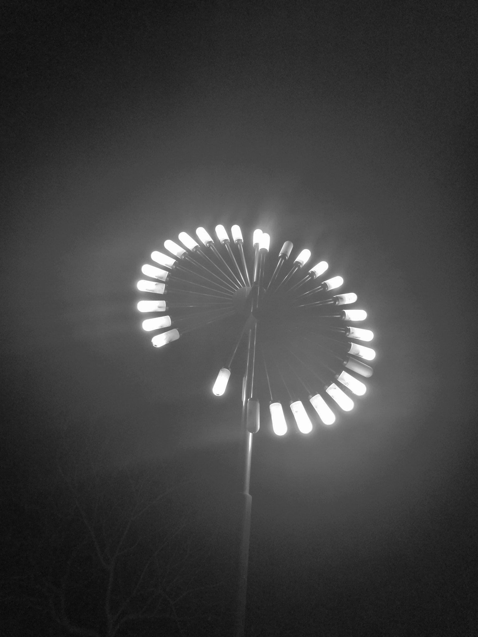 HUAWEI Honor V8 sample photo