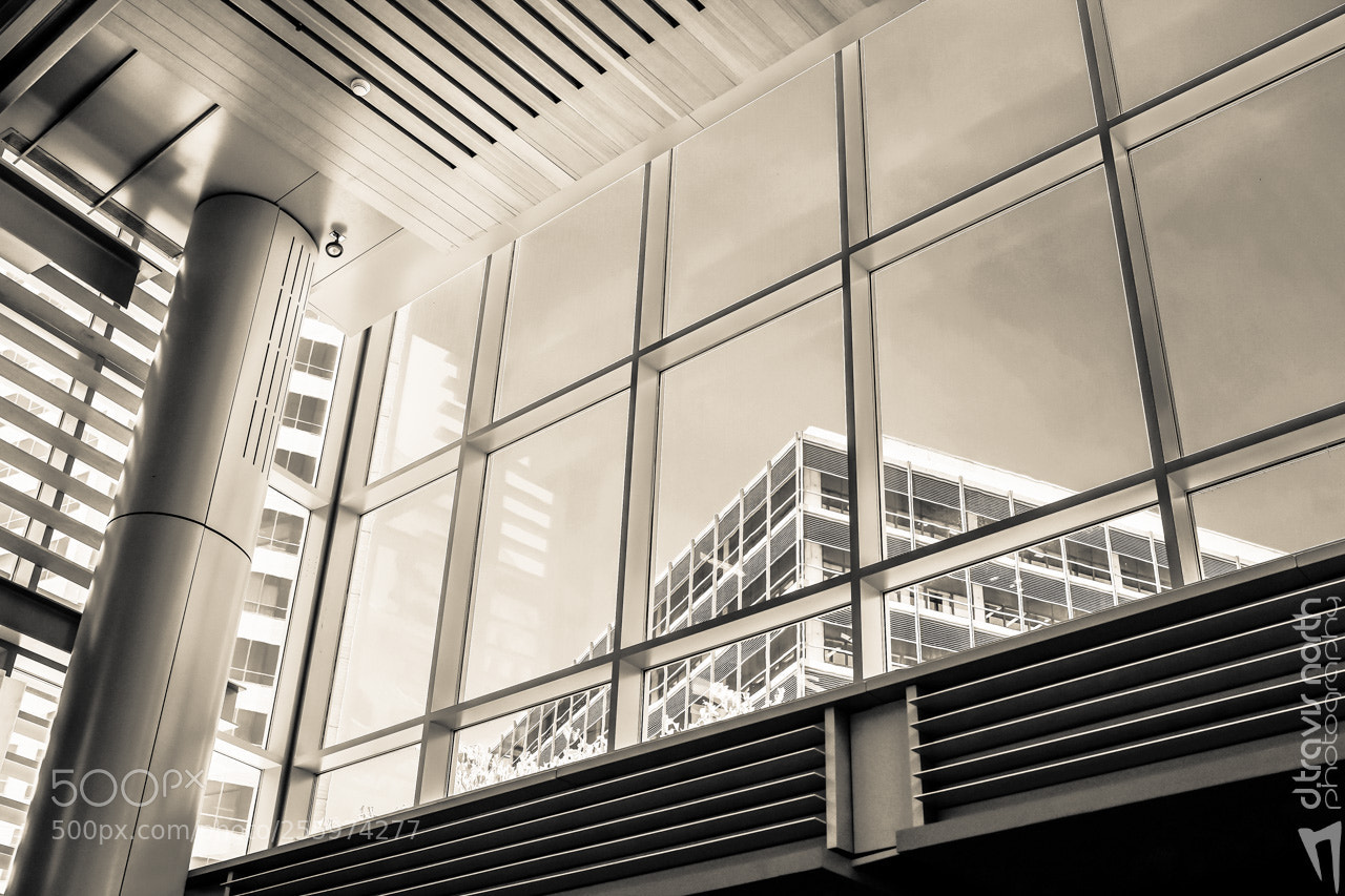 Fujifilm X100S sample photo. View from within photography