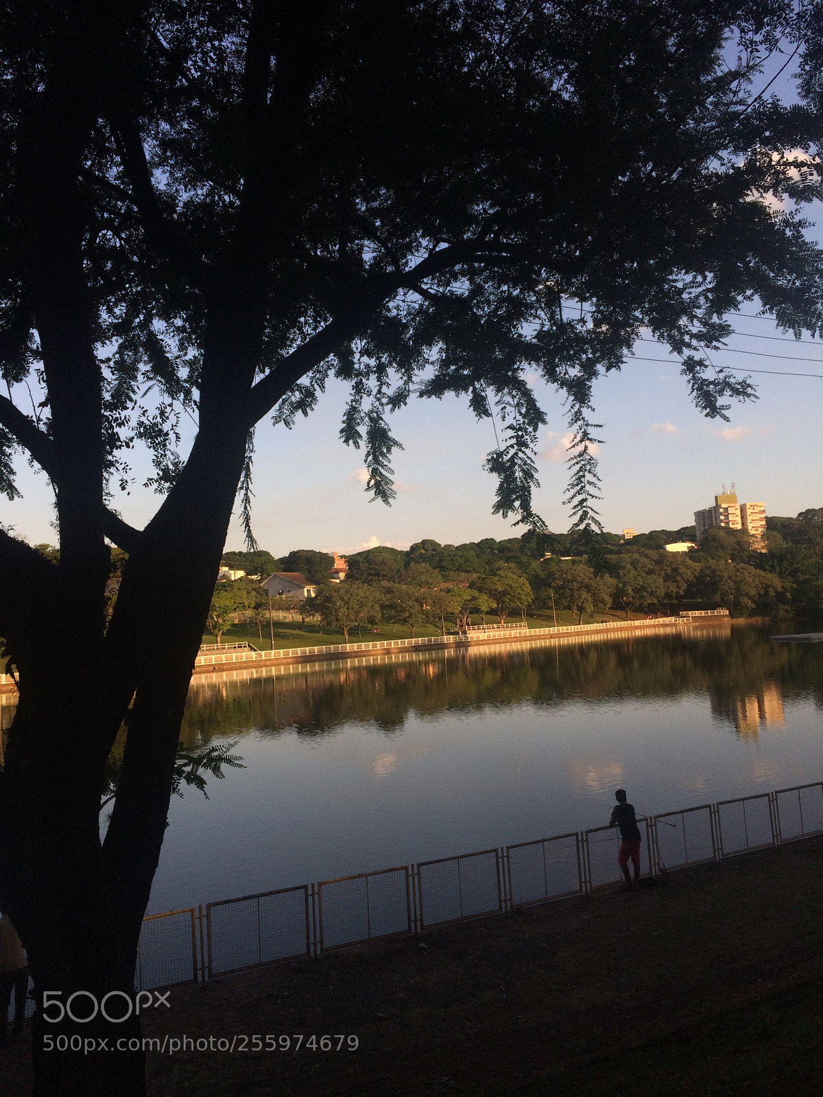 Apple iPhone 5s sample photo. Solicitude  photography