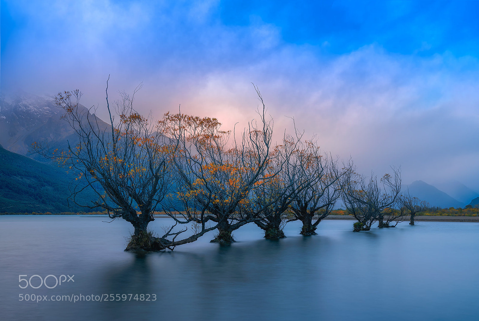 Sony a7R III sample photo. Glenorchy photography
