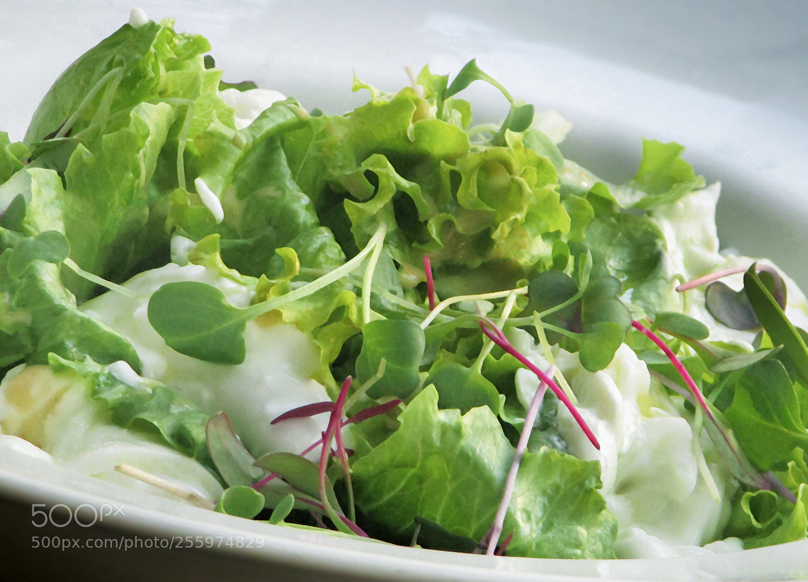 Canon PowerShot SX400 IS sample photo. Freshness on a plate photography