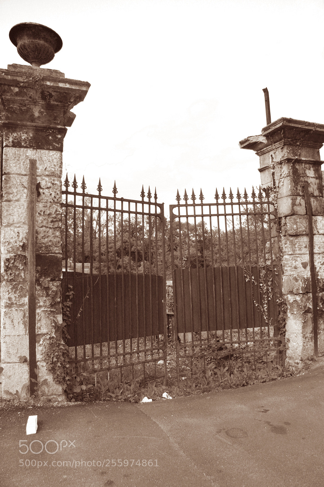 Canon EOS 20D sample photo. Main gate sepia photography