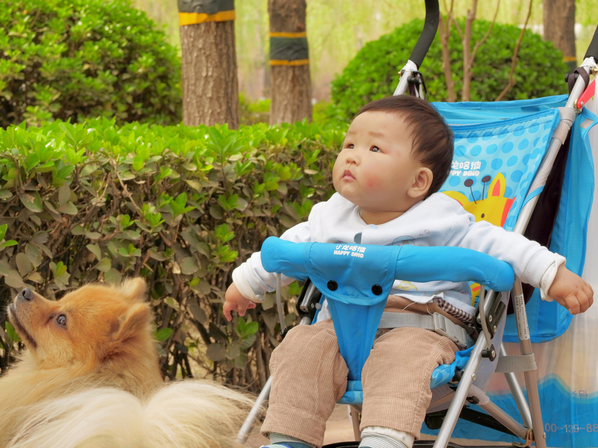 YI TECHNOLOGY M1 sample photo. Untitled photography