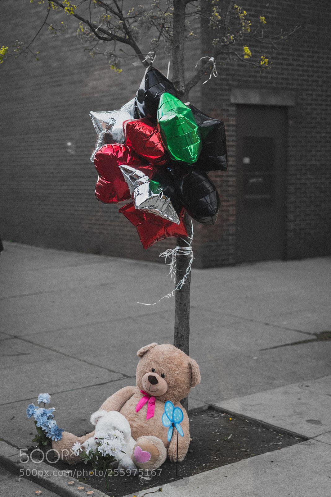 Sony a7R II sample photo. Vigil photography
