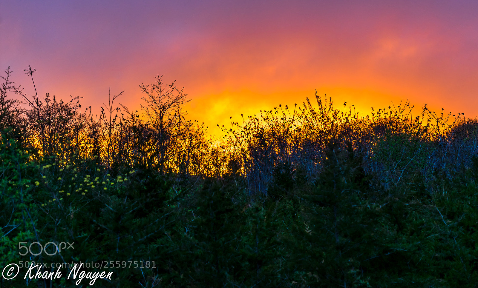 Sony a7 II sample photo. Dsc photography