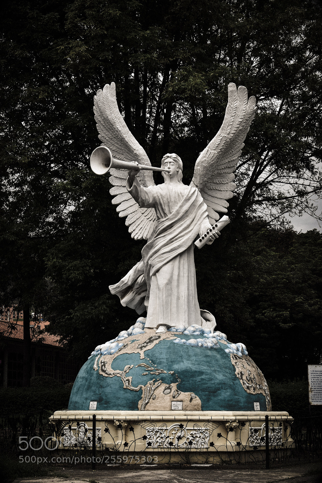 Nikon D5600 sample photo. Untitled photography