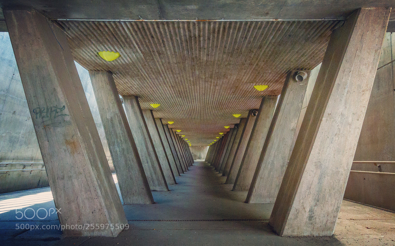 Sony DSC-RX100M5 sample photo. The entrance to sinsen photography