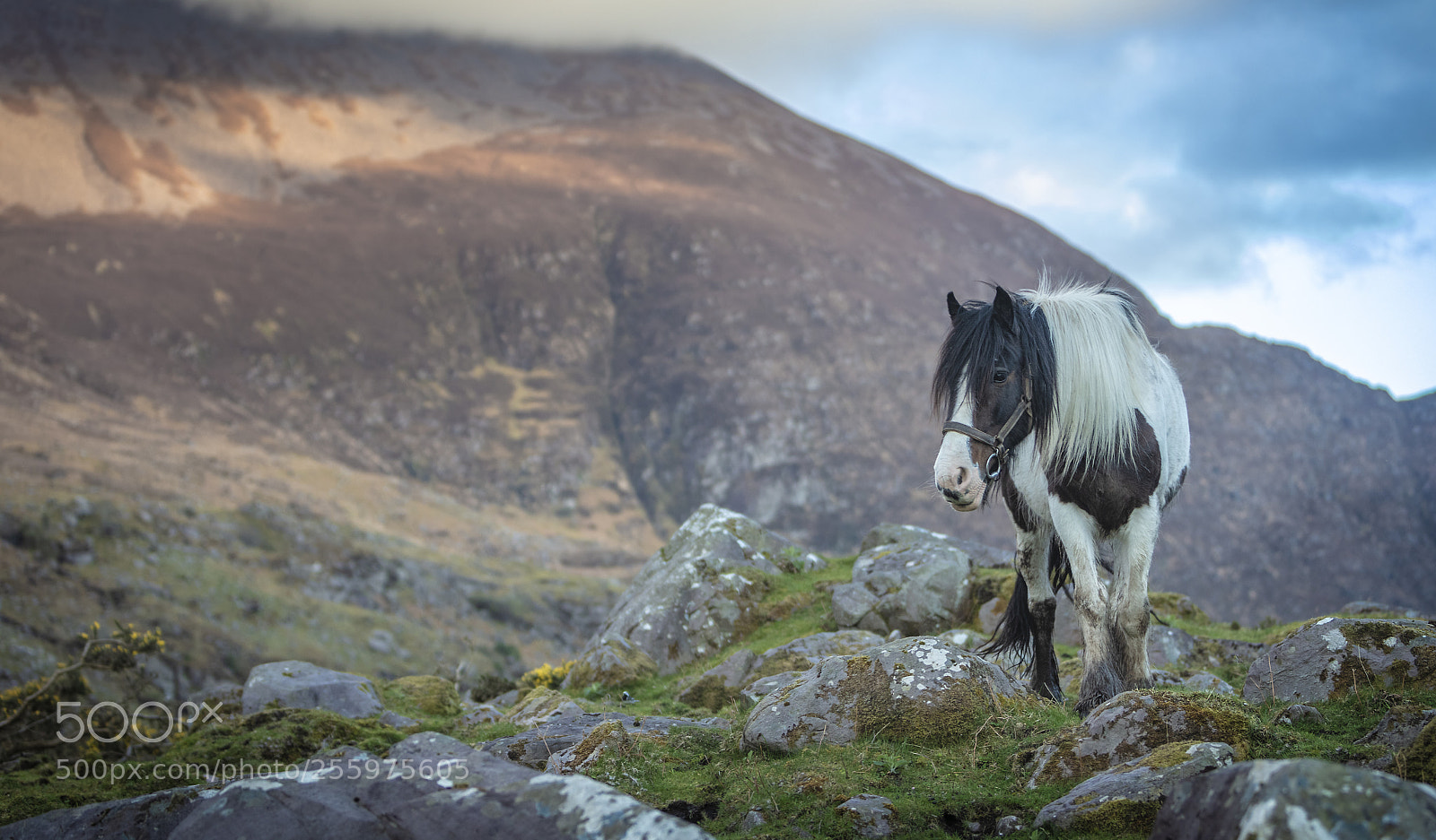 Canon EOS 5DS R sample photo. The black valley kerry photography