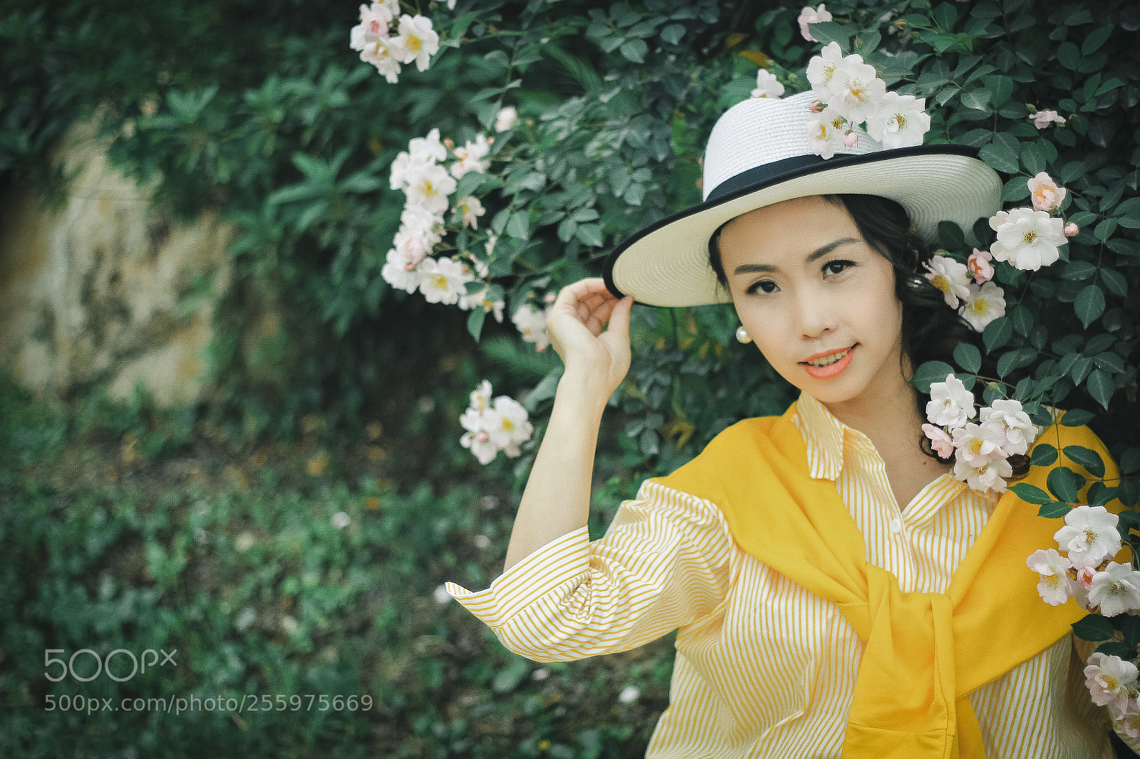 Canon EOS 60D sample photo. Untitled photography