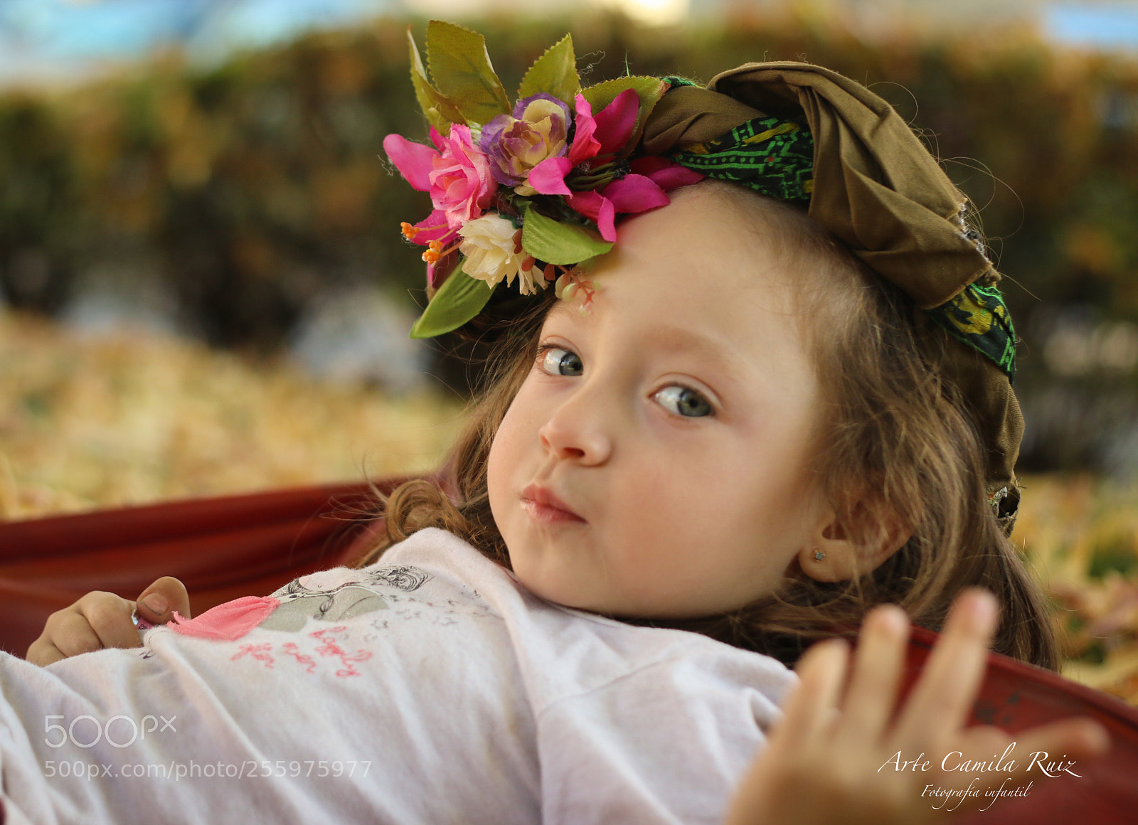 Canon EOS 70D sample photo. Img photography