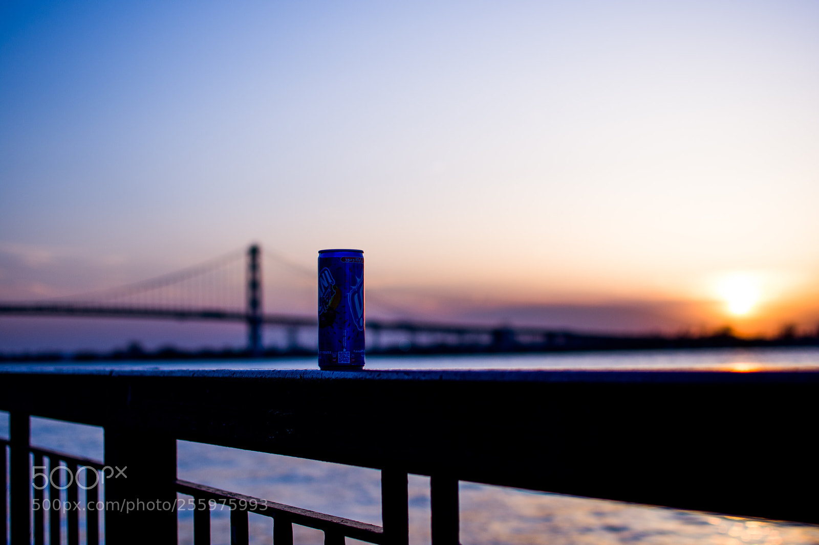 Nikon D7200 sample photo. Untitled photography