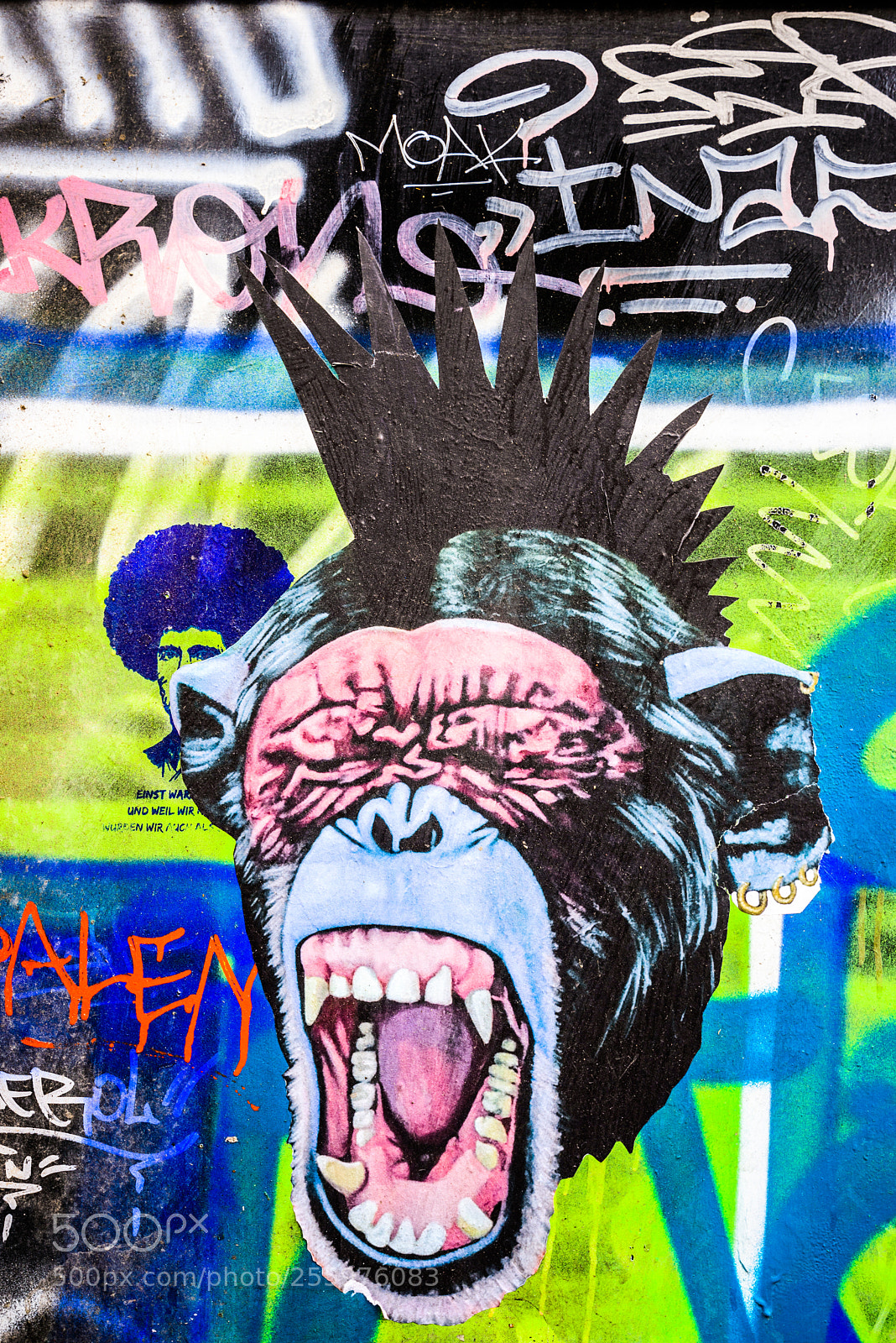Nikon D610 sample photo. Barcelona street art photography