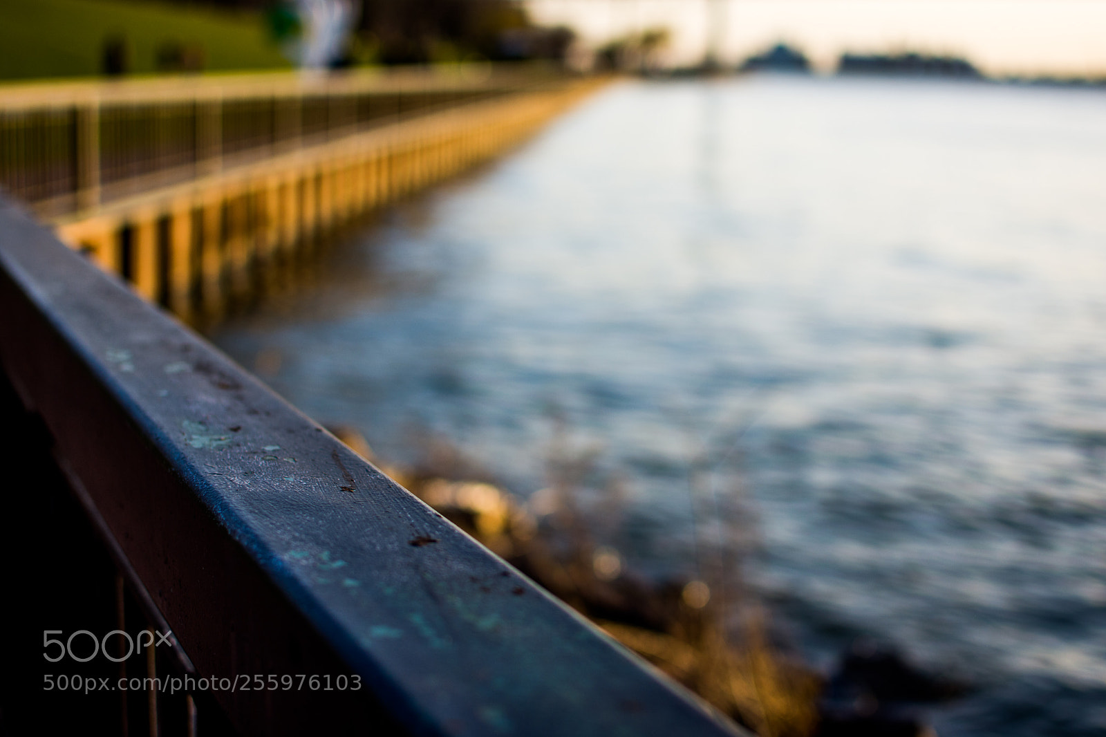 Nikon D7200 sample photo. Untitled photography