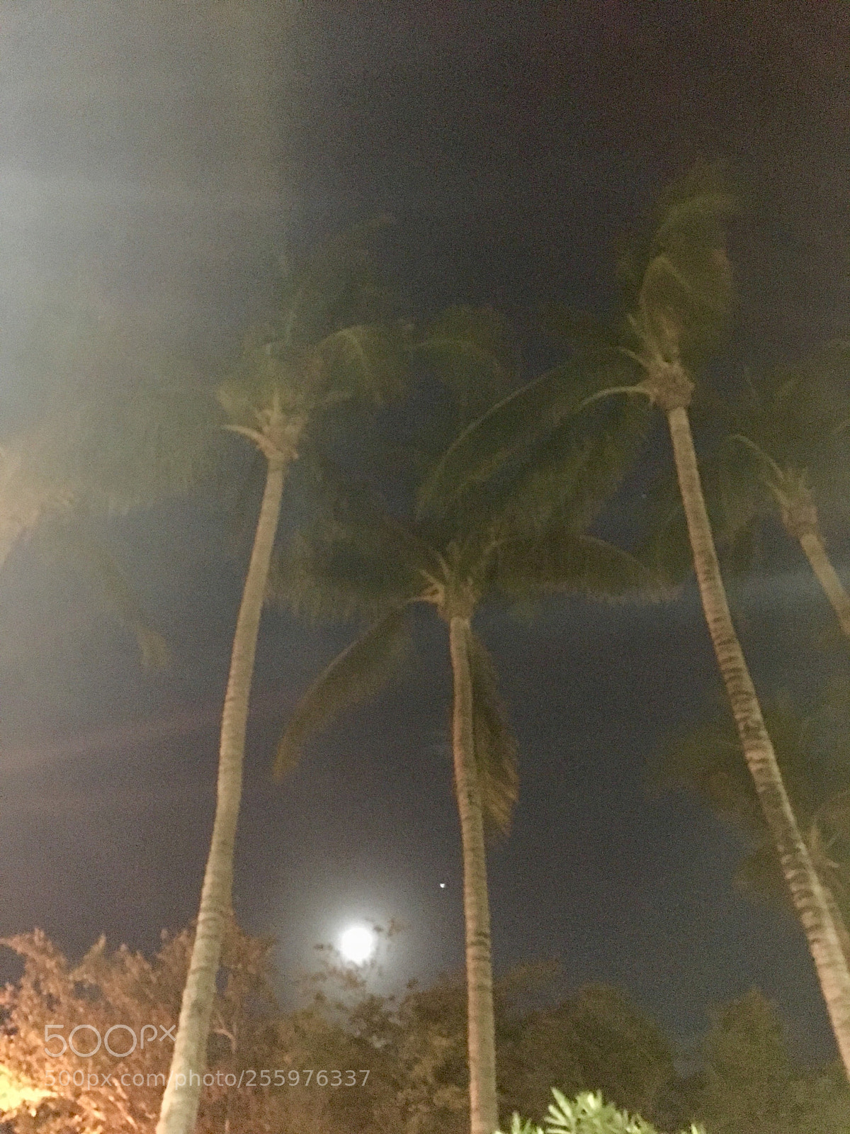 Apple iPhone 6s Plus sample photo. Miami beach- full moon photography