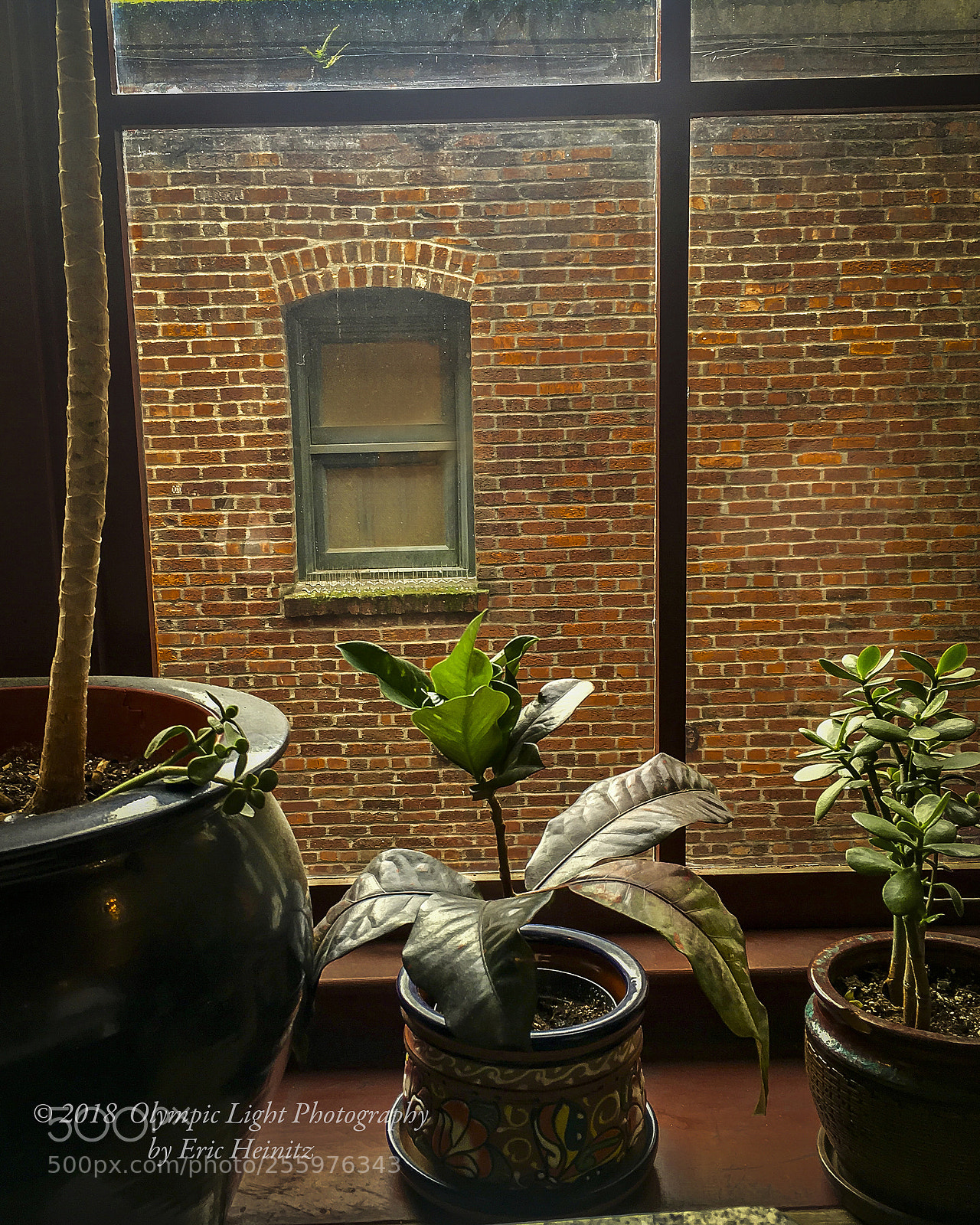 Apple iPhone SE sample photo. Post alley window photography