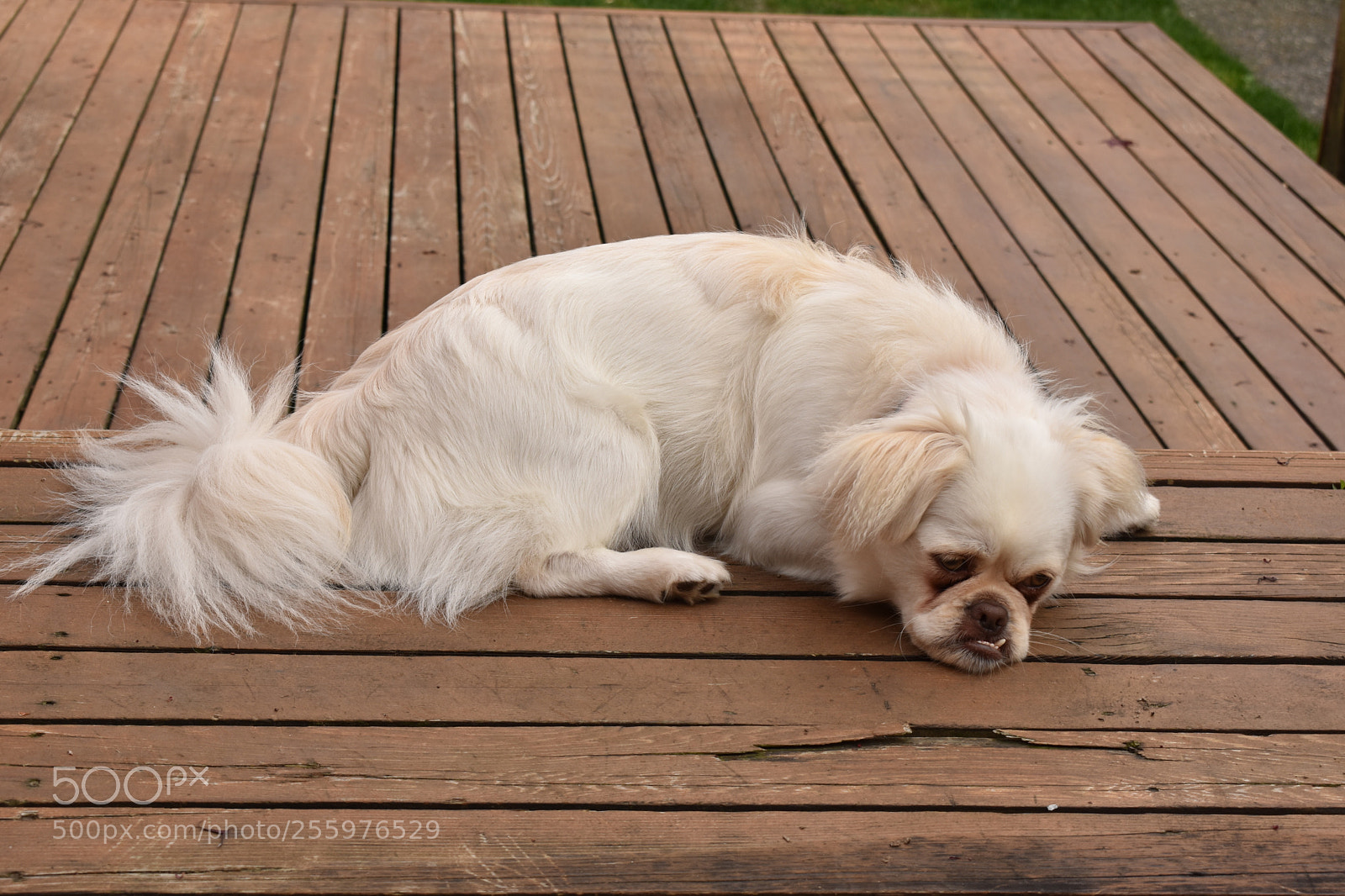 Nikon D3400 sample photo. Gus photography