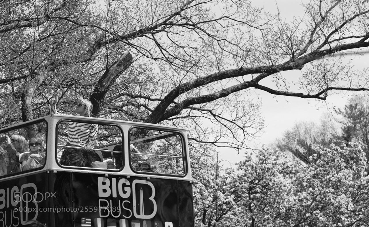 Canon EOS 750D (EOS Rebel T6i / EOS Kiss X8i) sample photo. April bus photography