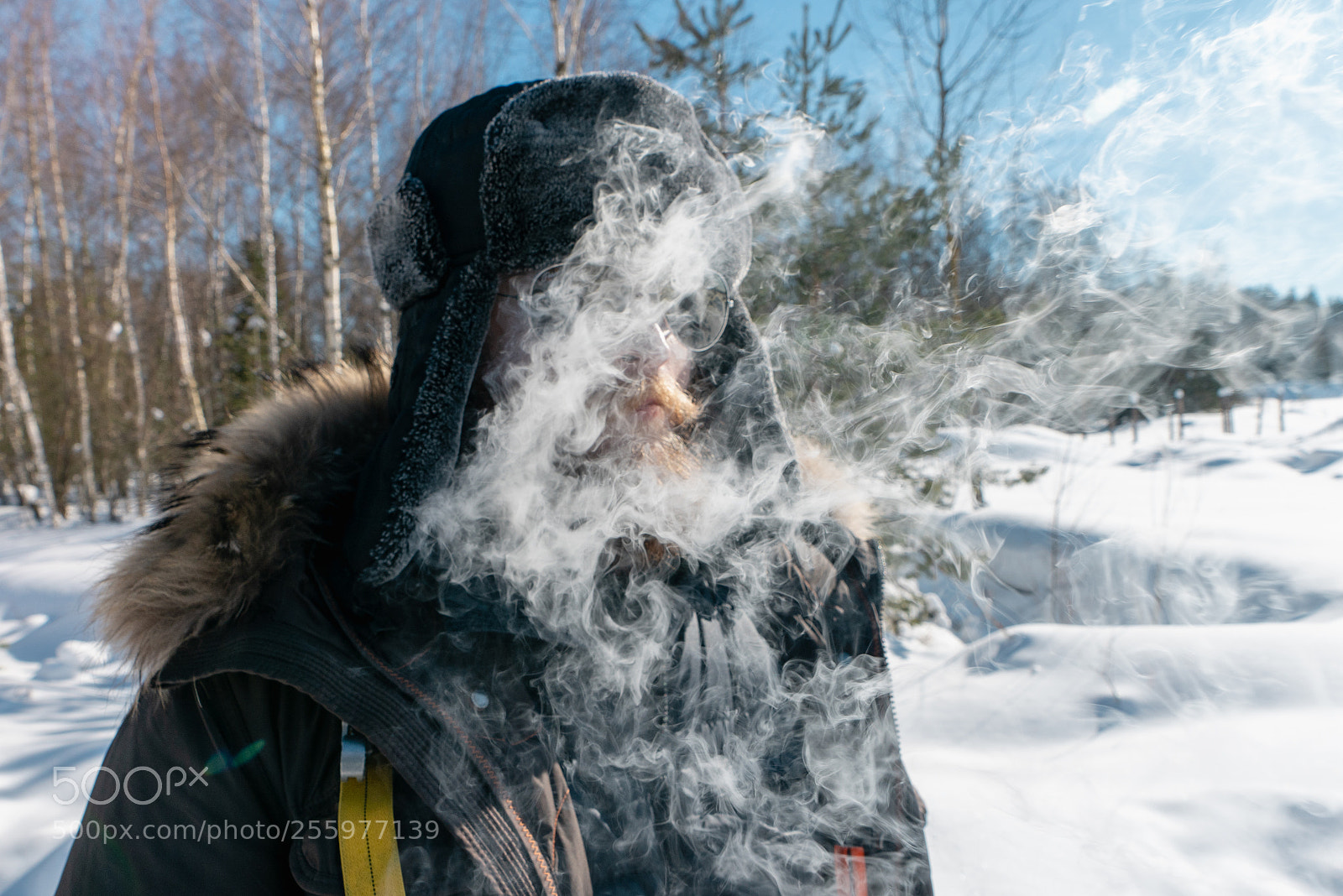 Sony a7R II sample photo. Day 2 photography