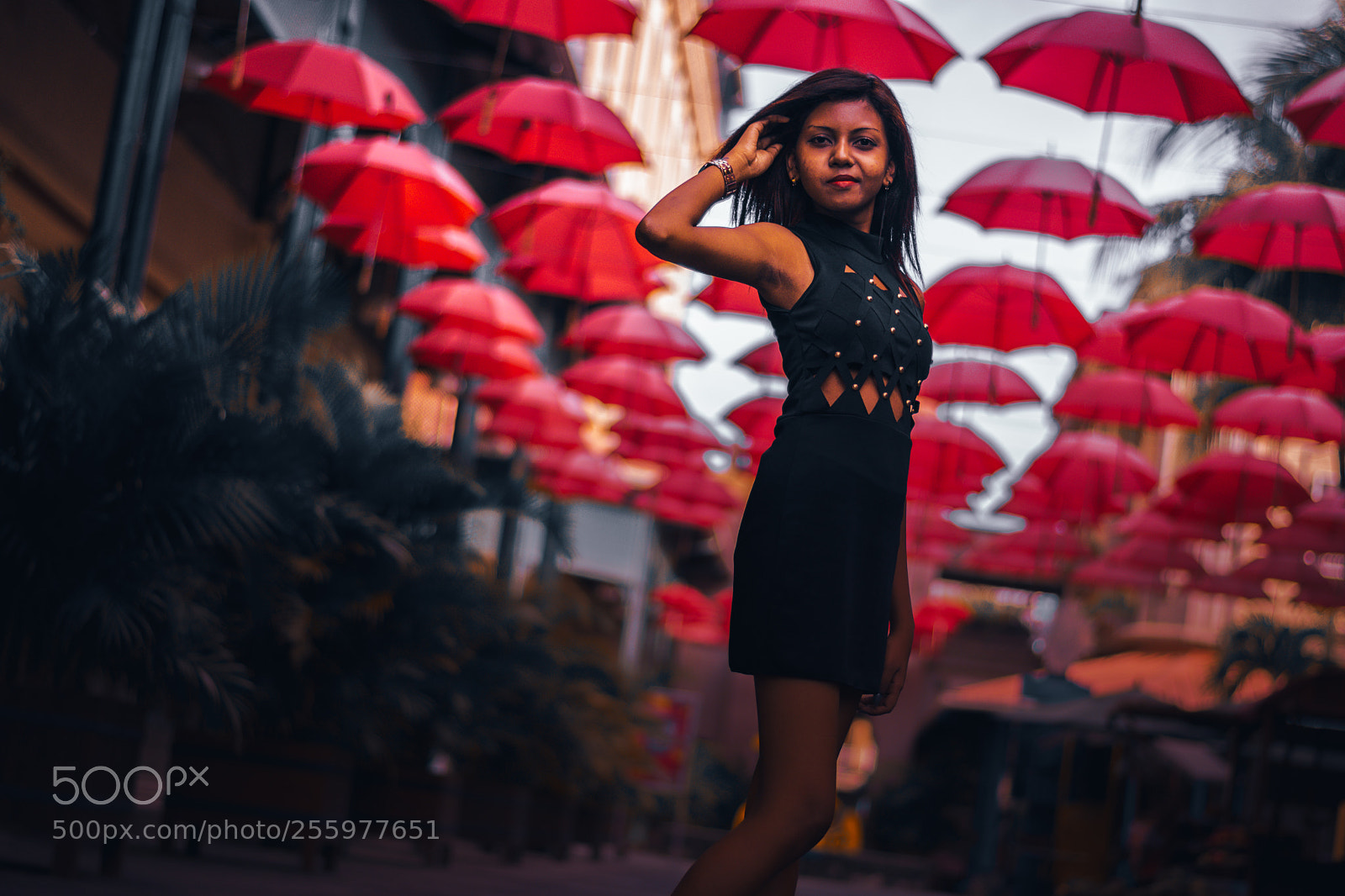 Nikon D5300 sample photo. Umbrellas!!!! photography