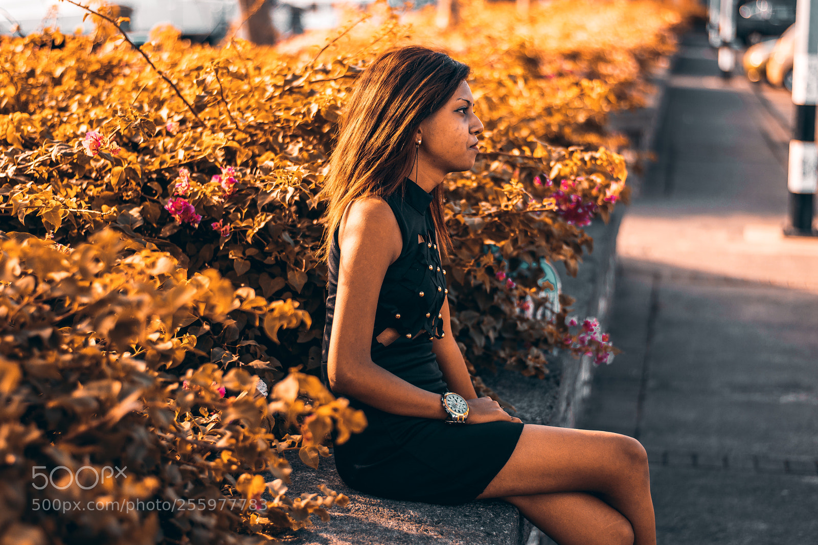 Nikon D5300 sample photo. Yellow vibes photography