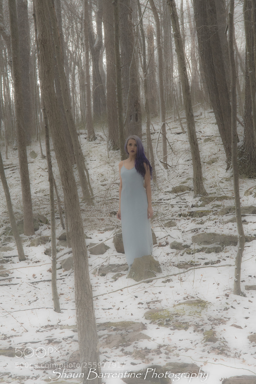 Nikon D500 sample photo. Edit photography