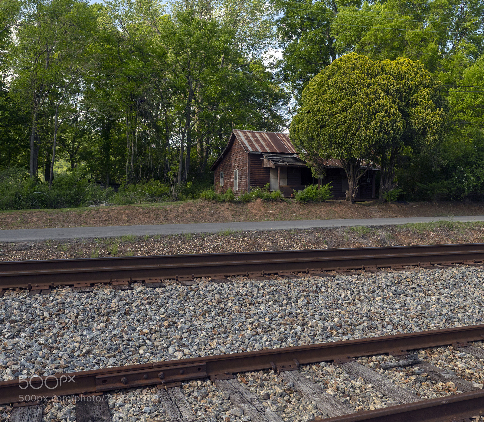Olympus OM-D E-M1 Mark II sample photo. Little house by the photography