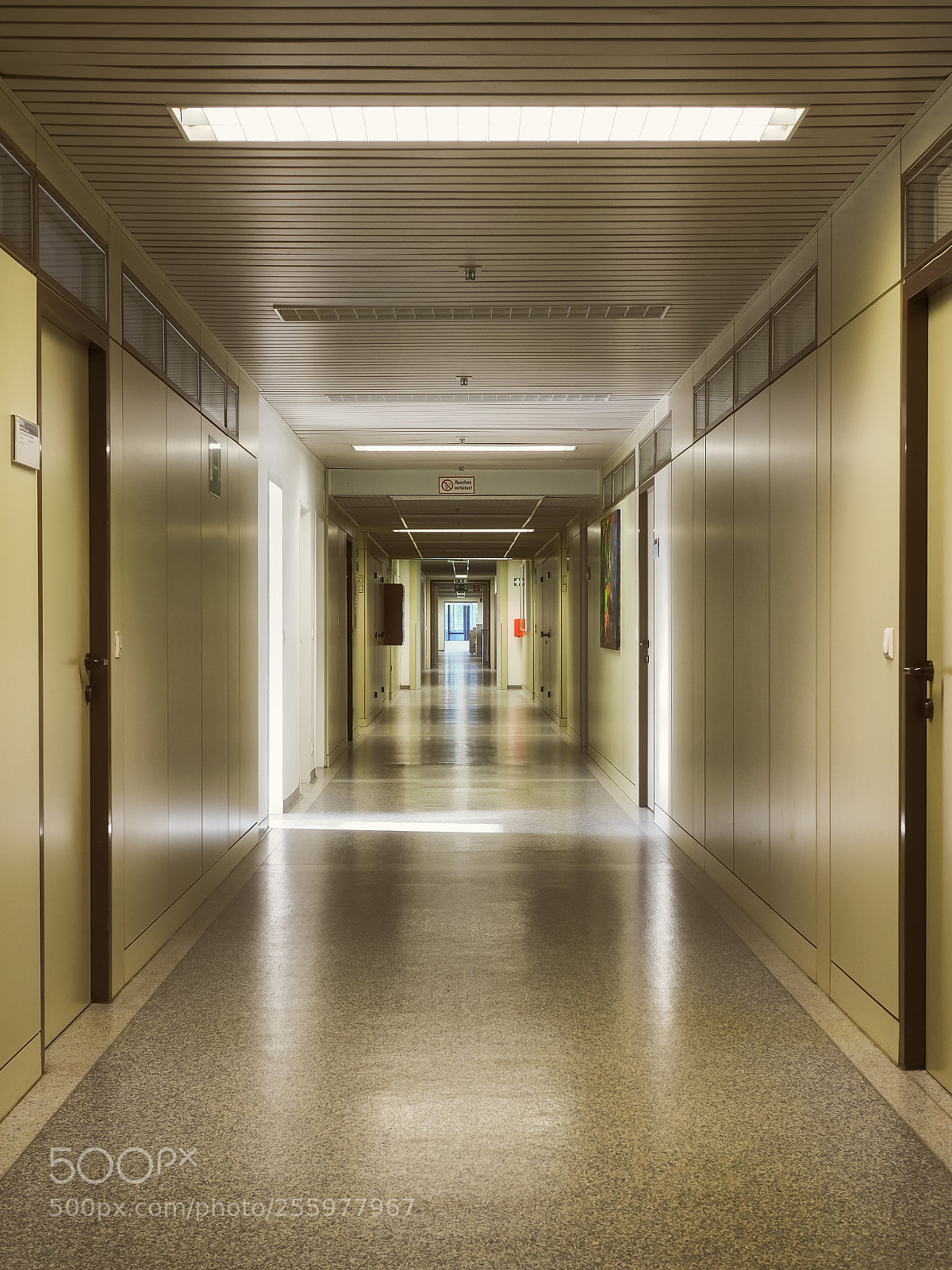 Olympus OM-D E-M1 Mark II sample photo. The corridor photography