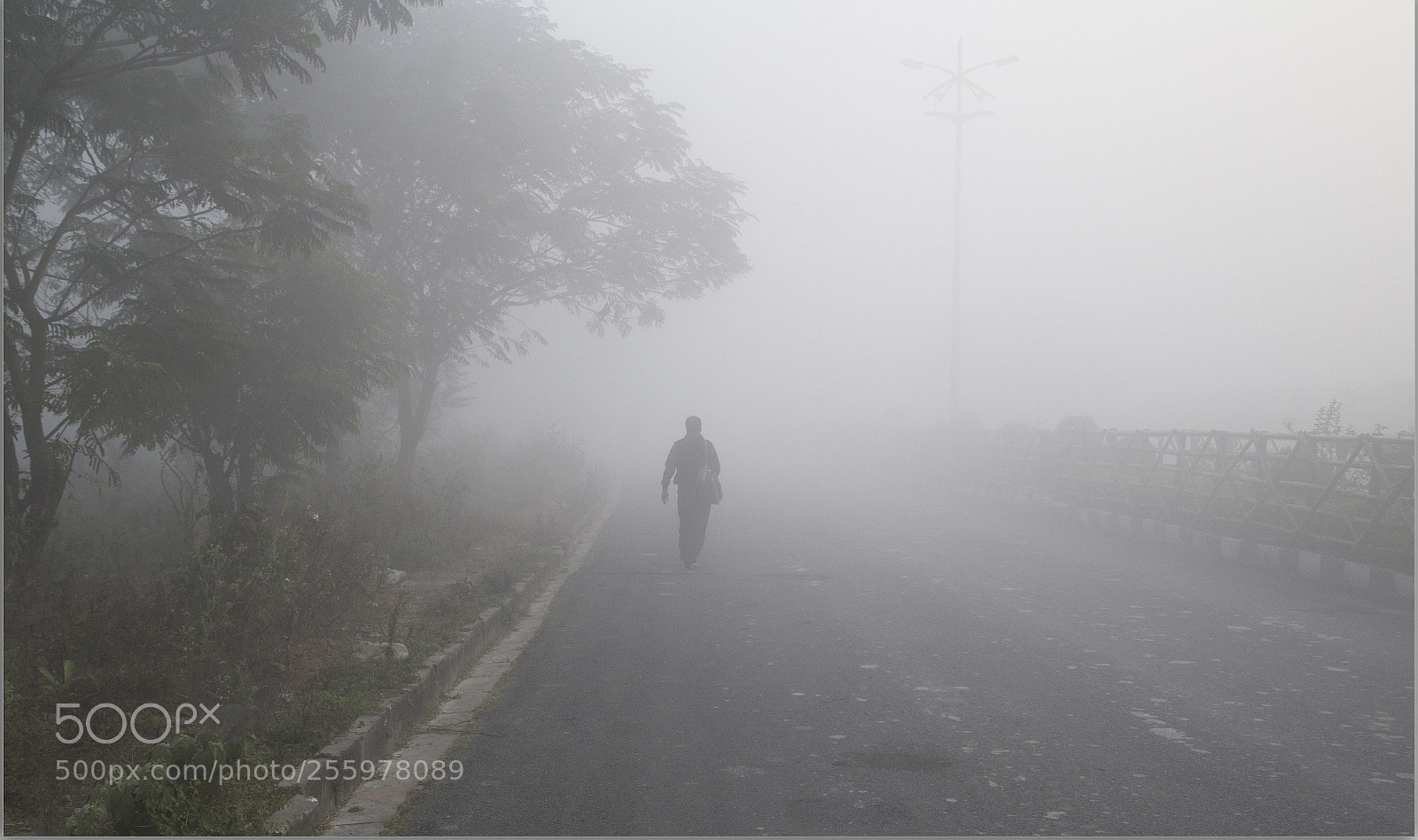 Canon EOS 6D sample photo. Morning photography