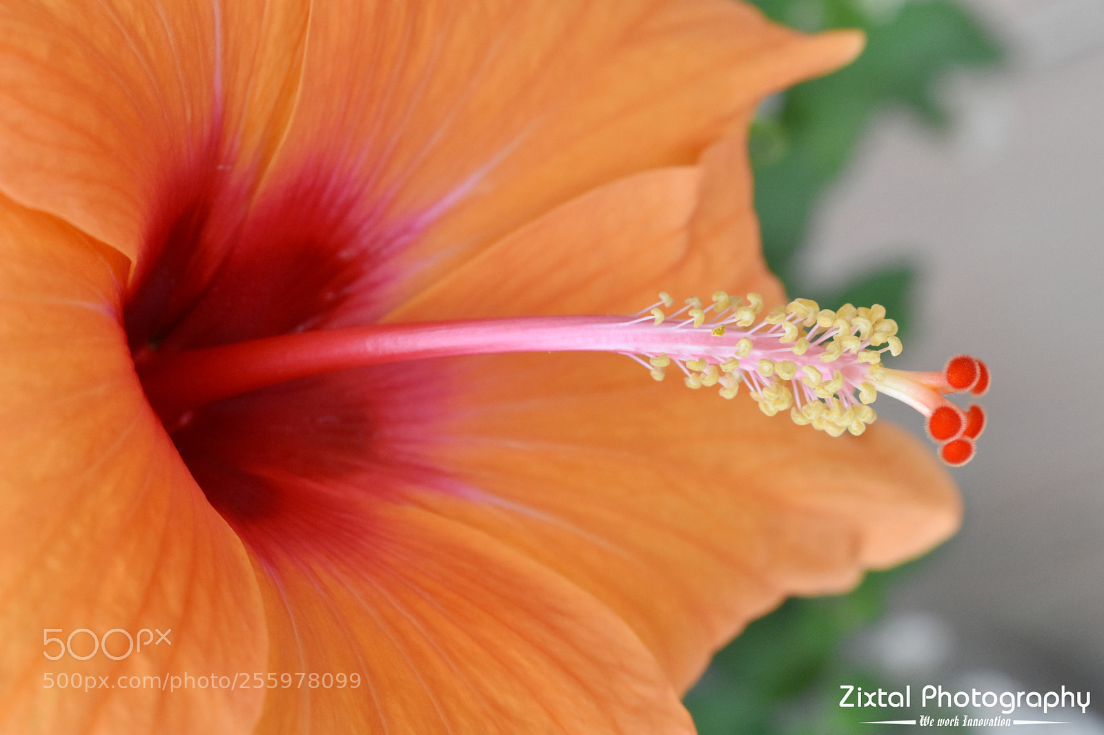 Nikon D3400 sample photo. Untitled photography