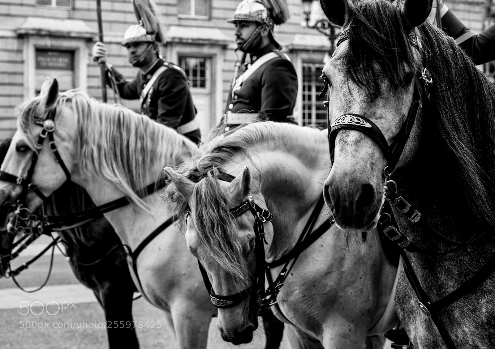 Nikon D810 sample photo. Madrid photography