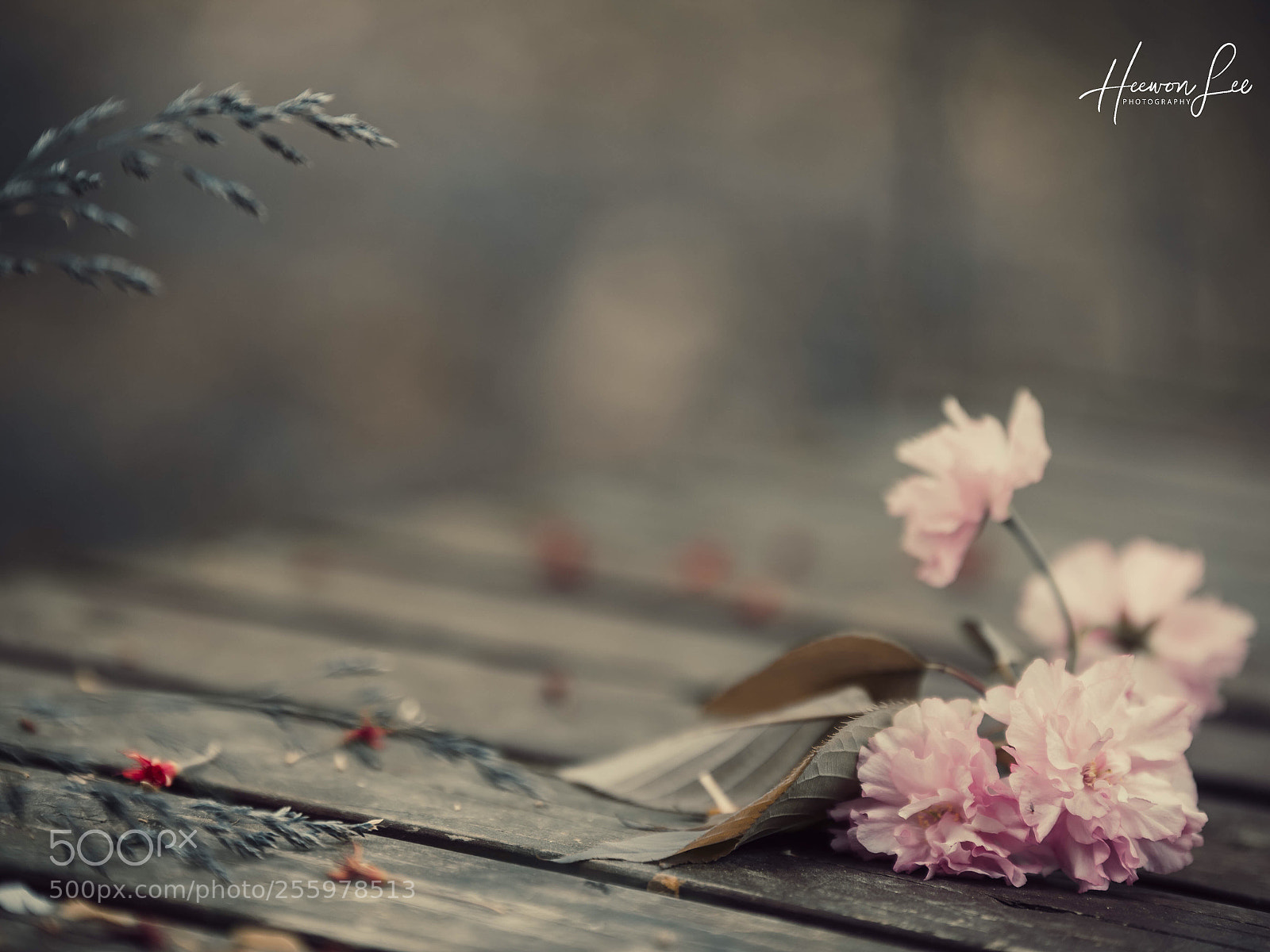 Canon EOS 6D sample photo. Hello may.. photography