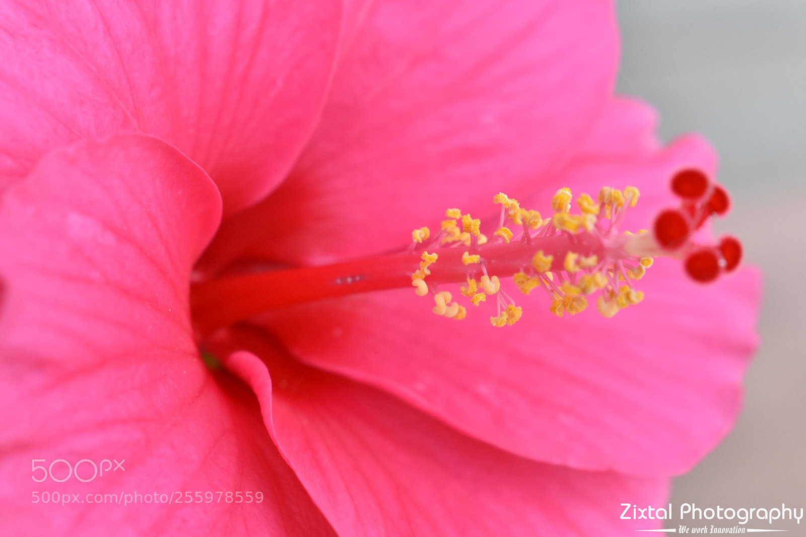 Nikon D3400 sample photo. Lovely nature photography