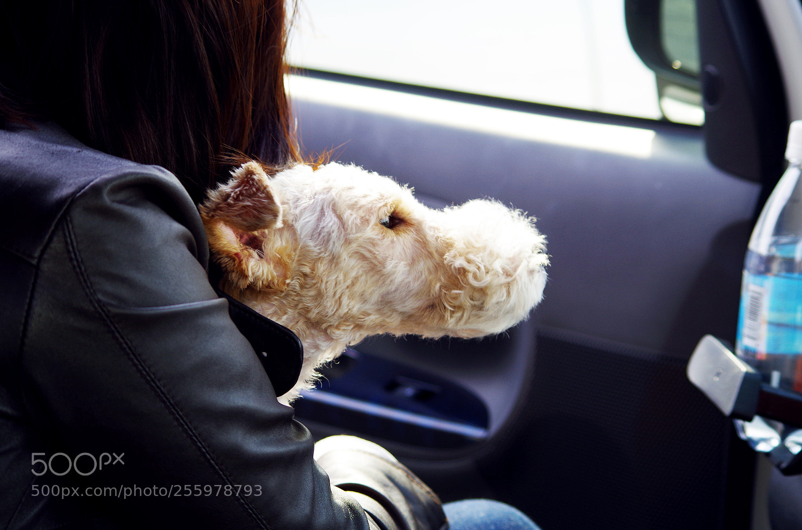 Pentax K-50 sample photo. Kawaiikawaii photography